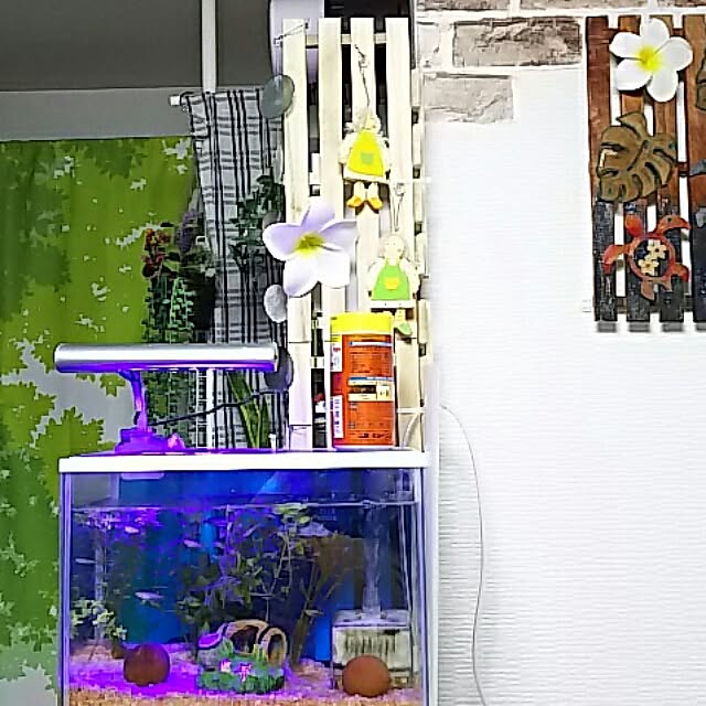 atukoさんの実例写真
