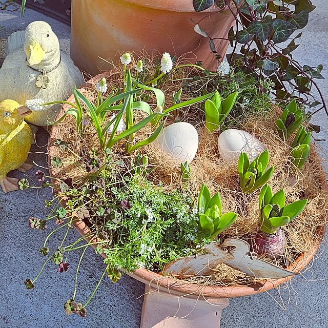 mocomocoさんの部屋