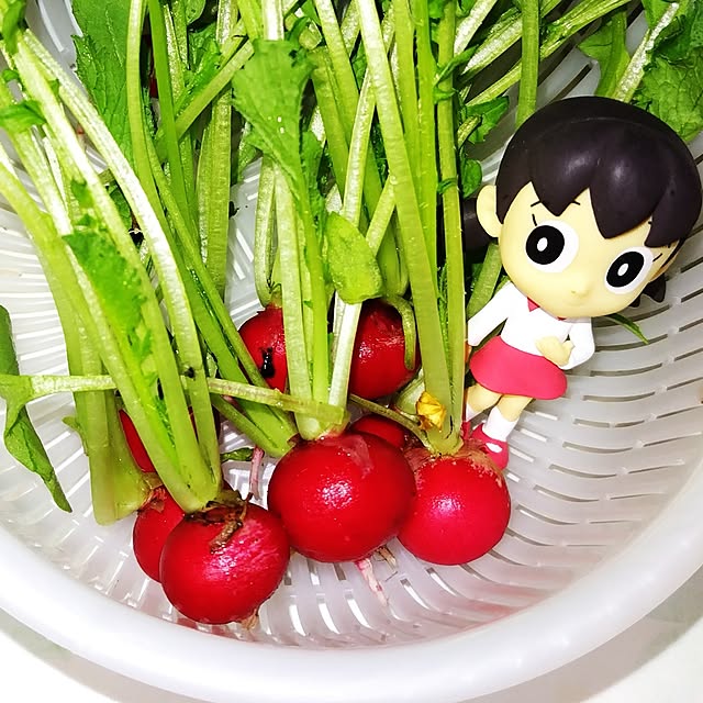 katさんの部屋