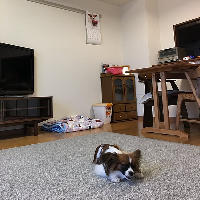 asamamaさんの実例写真