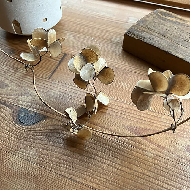 ikubooさんの部屋