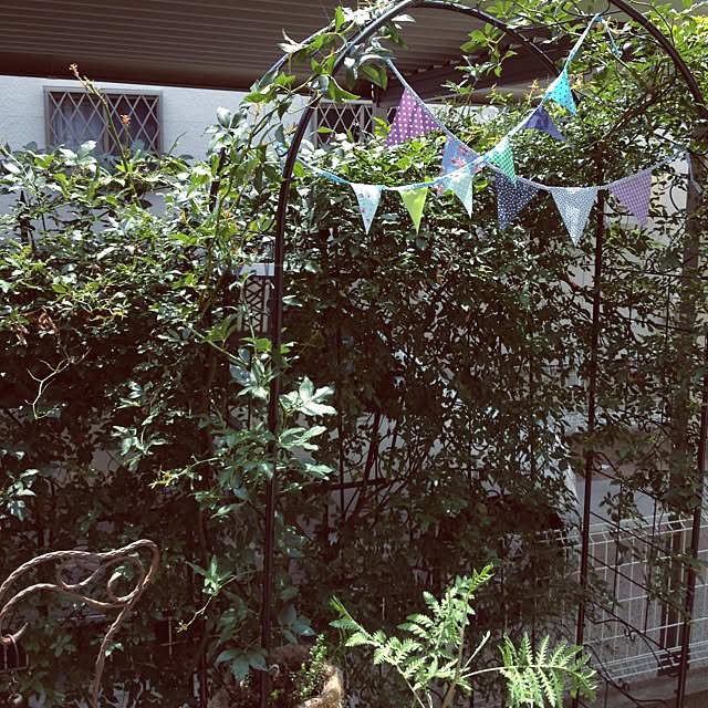 mi-さんの実例写真