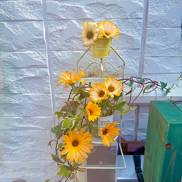 miyuさんの実例写真