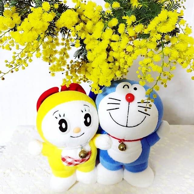 katさんの実例写真
