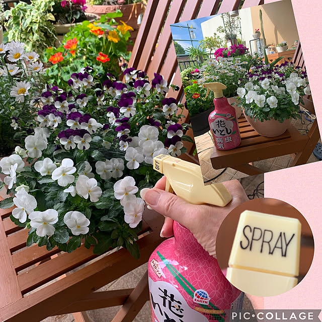 Aqettyさんの実例写真