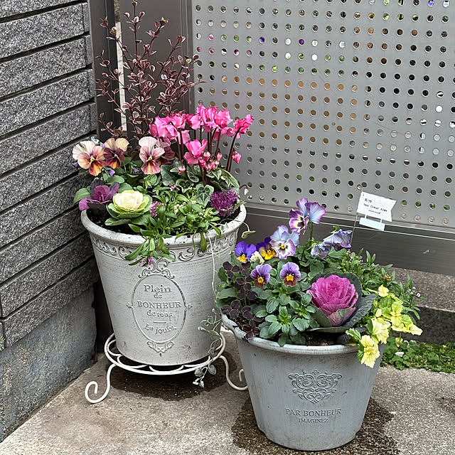 maayaさんの部屋