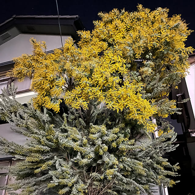 GreenWorksさんの実例写真