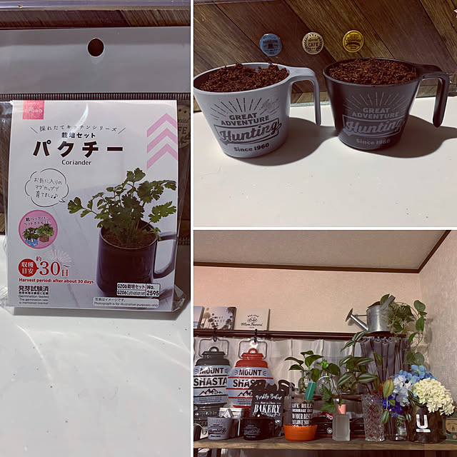 akipuさんの実例写真