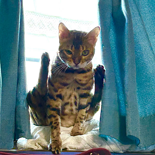 tututu0204さんの部屋