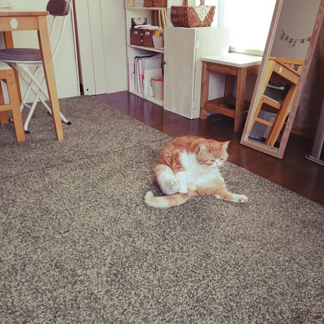 otoさんの実例写真