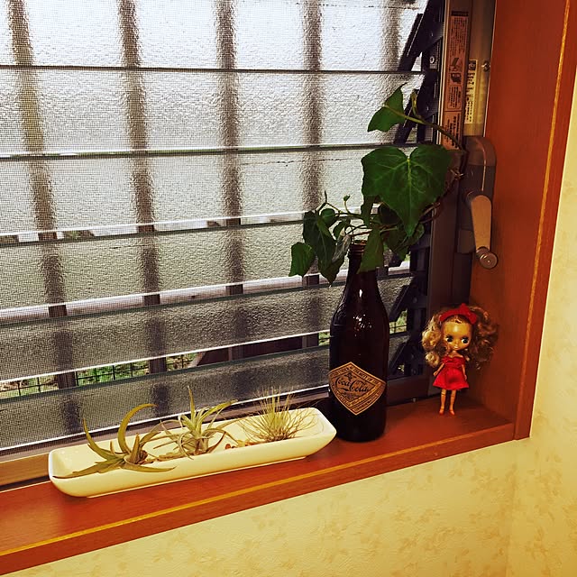 harukaさんの実例写真