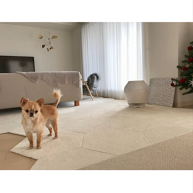 haruhinaさんの実例写真