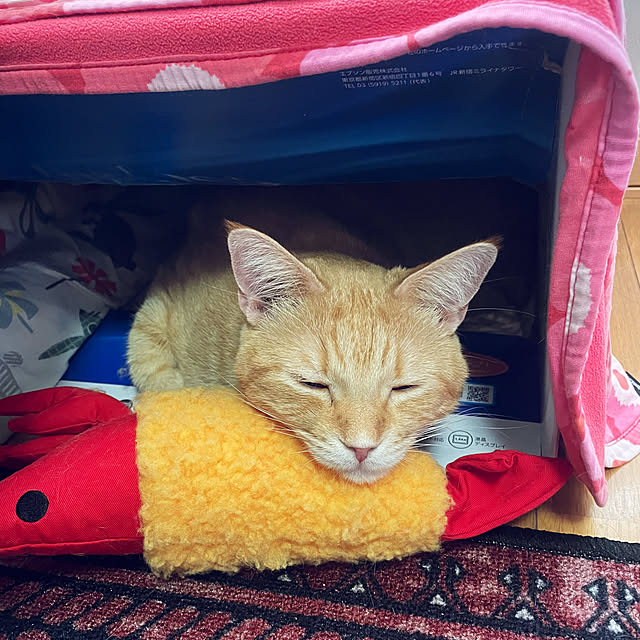 okogeさんの部屋