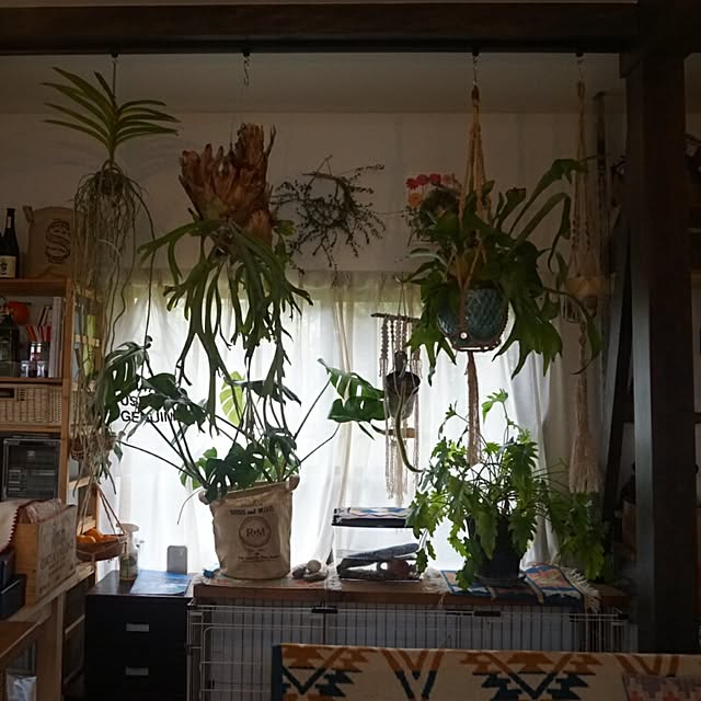 koheyさんの実例写真