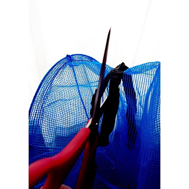 ToReTaRiさんの部屋