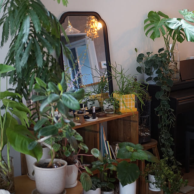 riri1989さんの実例写真