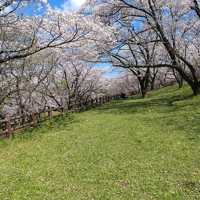 reikoさんの部屋
