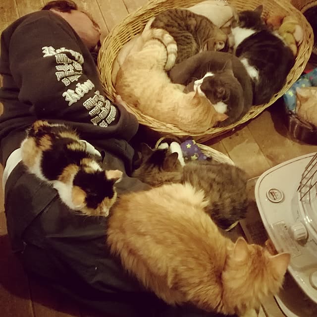 Maki-nekomamireさんの実例写真