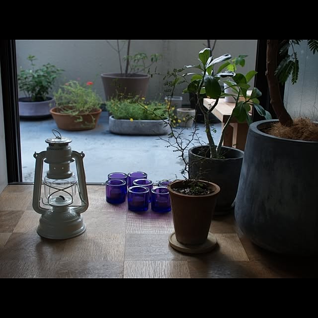 towaさんの実例写真