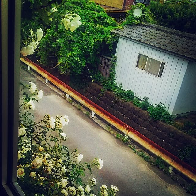 ganamiさんの実例写真