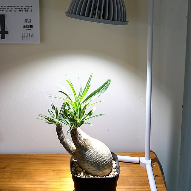 pakila15さんの部屋