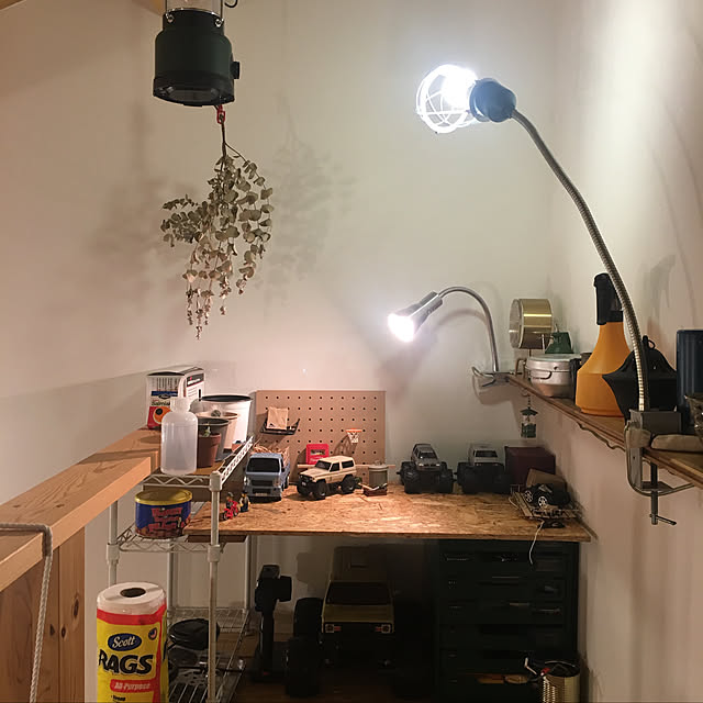 lifetoolbugさんの実例写真