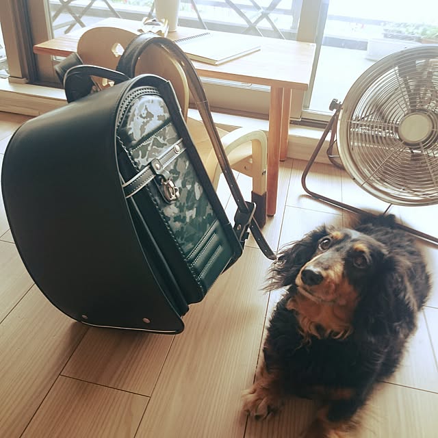 nimiaさんの実例写真