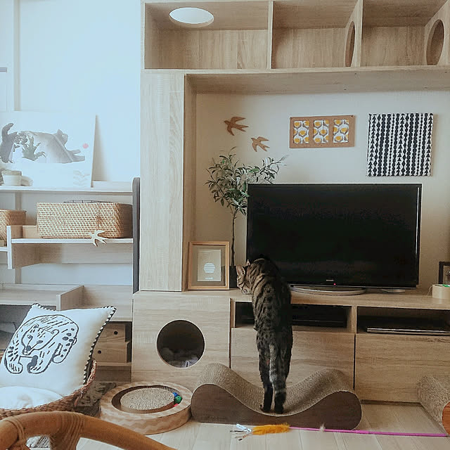 sariさんの実例写真