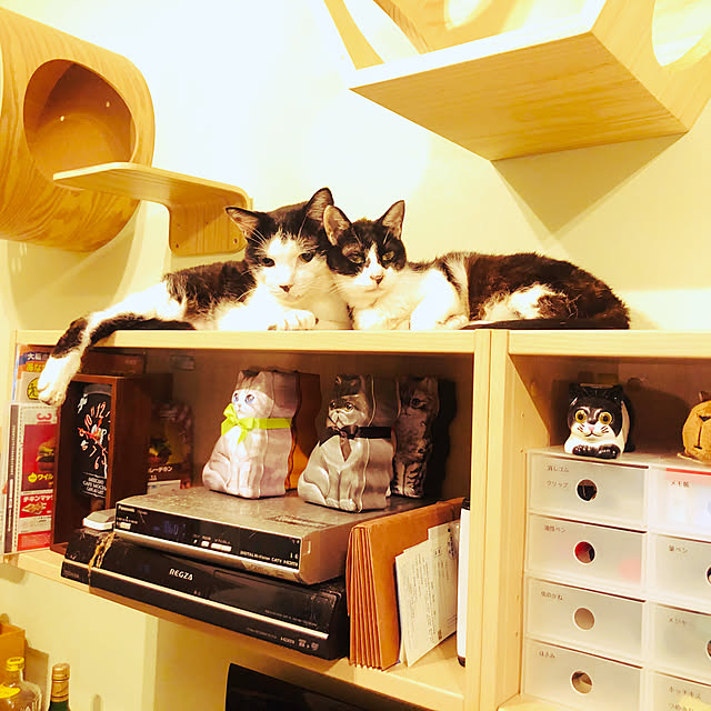 sakura_171220さんの実例写真