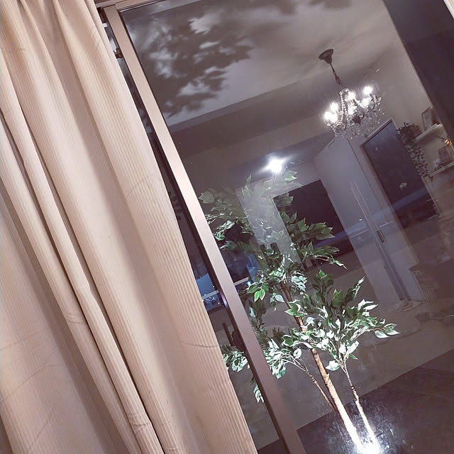 壁/天井のインテリア実例 - 2022-12-28 02:51:05