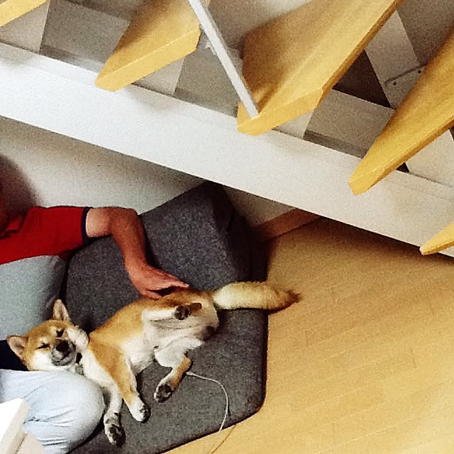 kotaさんの実例写真