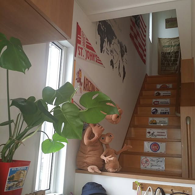 ALFさんの実例写真