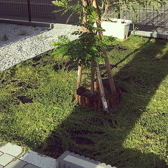 kezuri_houseさんの実例写真