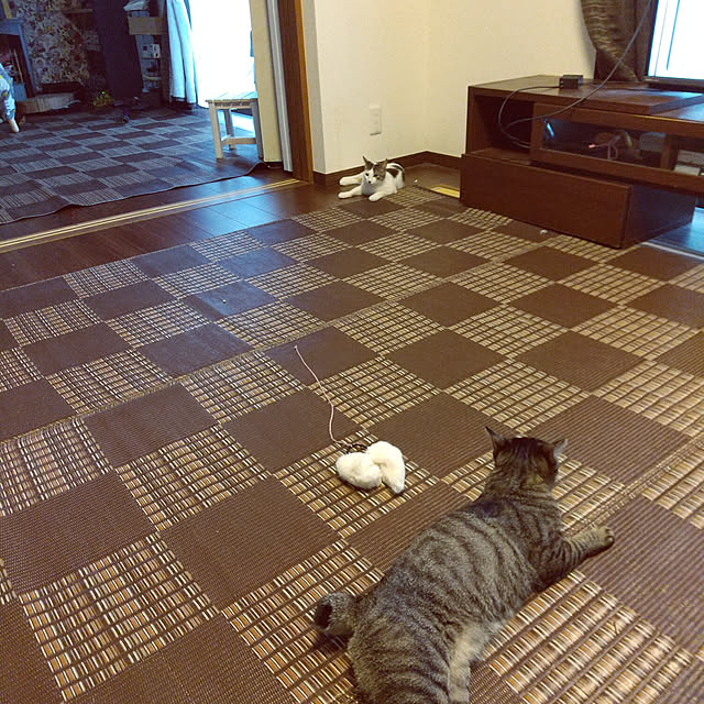 Mikaさんの実例写真