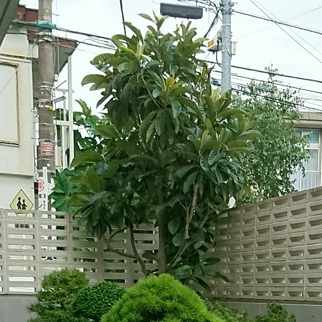 bonobono54さんの実例写真