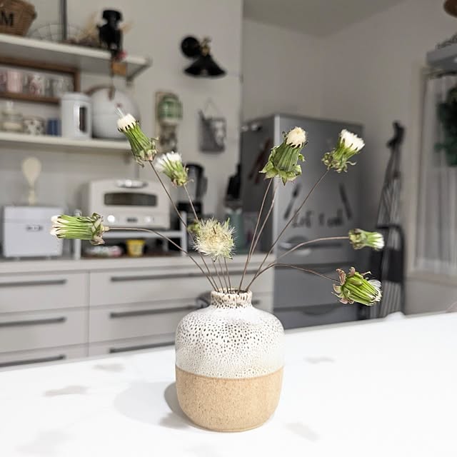 fumitanさんの実例写真