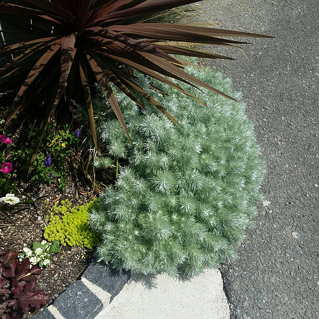 実例写真