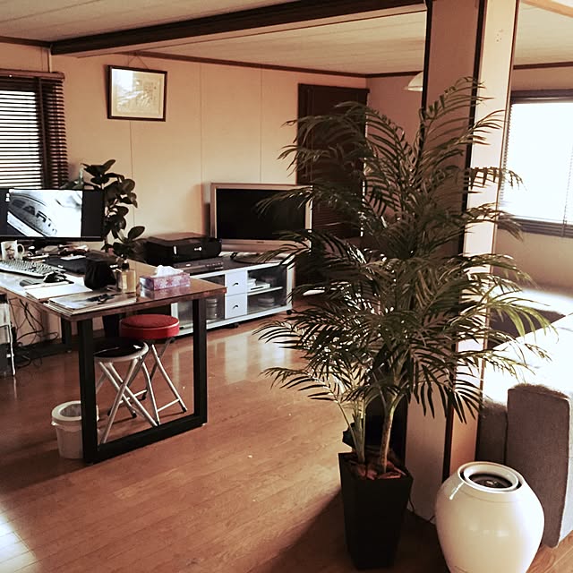 部屋全体/観葉植物/ソファのインテリア実例 - 2015-03-26 12:46:58