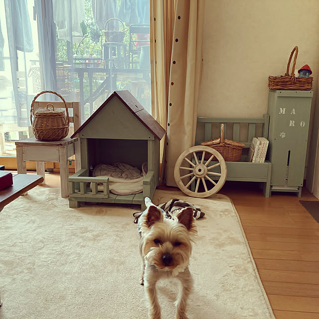 mayuoさんの実例写真