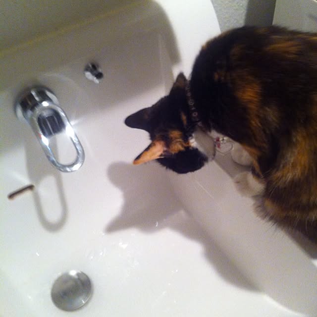 Rieさんの実例写真