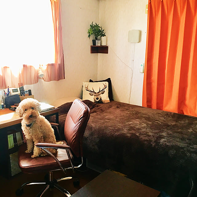 ronmaruさんの実例写真
