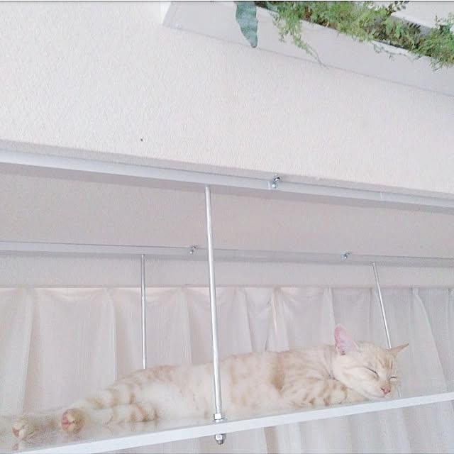 heart.emiemi57.whiteさんの実例写真