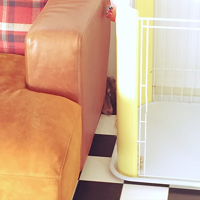 405.mさんの実例写真