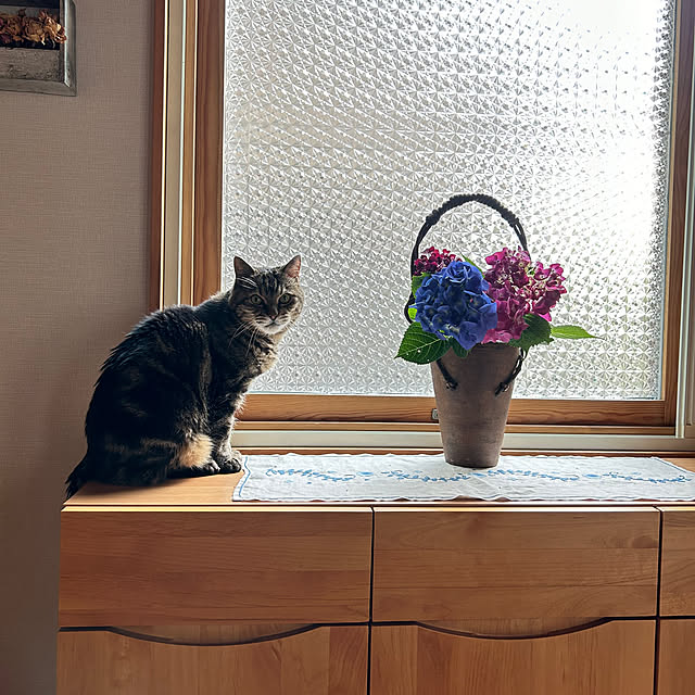 botanさんの実例写真