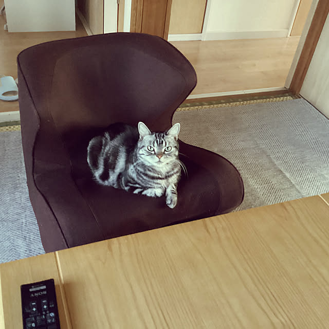 richanさんの部屋