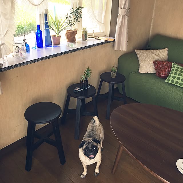 suzukoさんの実例写真