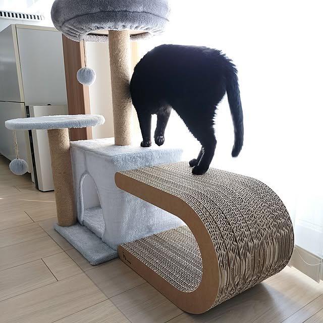sakuraさんの部屋