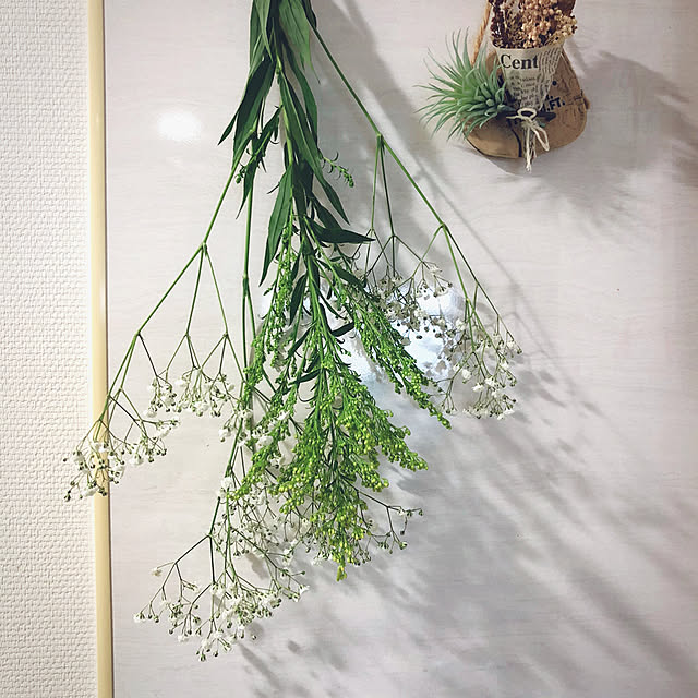 funyatoroさんの実例写真