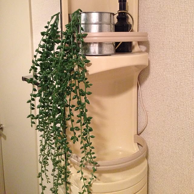 okuさんの実例写真