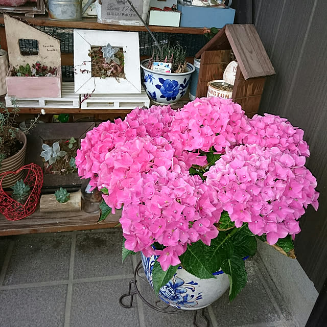mozuku315さんの実例写真